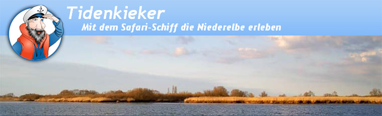 tiedenkieker